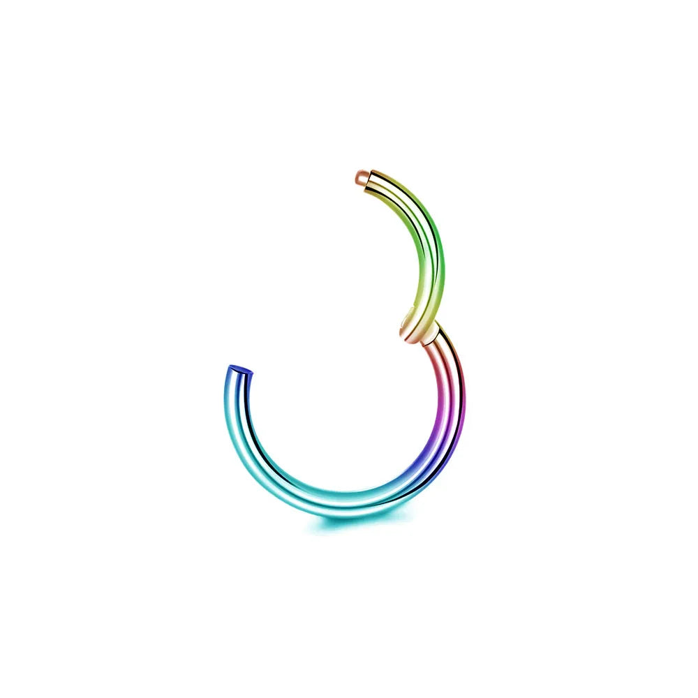 316L Surgical Steel Clicker Segment Nose Rings Base Septum Piercing Daith Conch Hoop Earrings for Women Men 16G 18G 20G 6-14mm