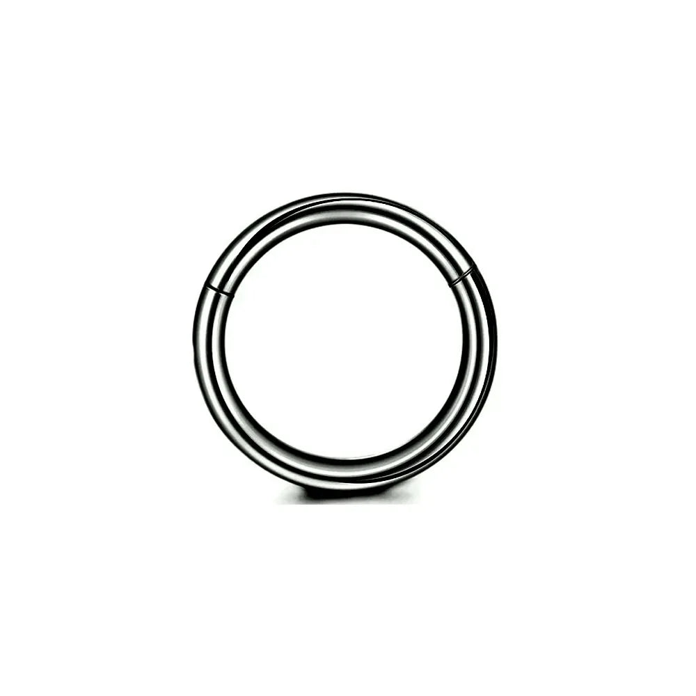 316L Surgical Steel Clicker Segment Nose Rings Base Septum Piercing Daith Conch Hoop Earrings for Women Men 16G 18G 20G 6-14mm