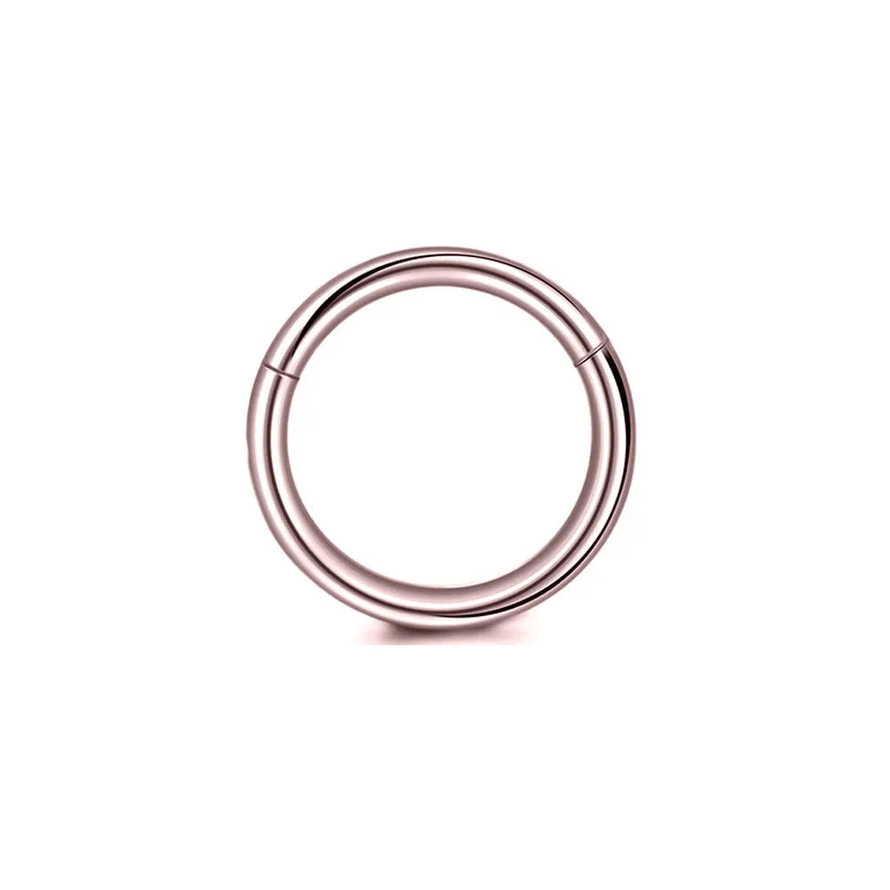 316L Surgical Steel Clicker Segment Nose Rings Base Septum Piercing Daith Conch Hoop Earrings for Women Men 16G 18G 20G 6-14mm